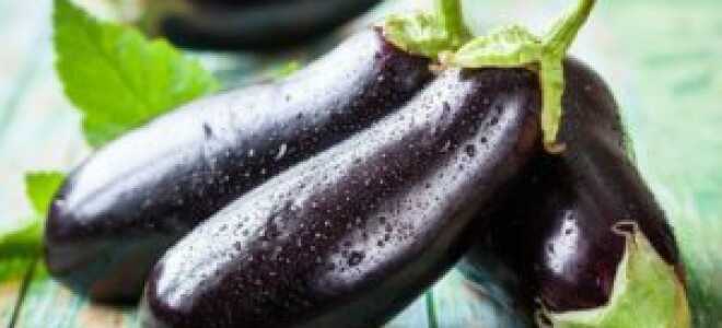 Баклажан “Алмаз”: характеристика и описание сорта, фото, отзывы