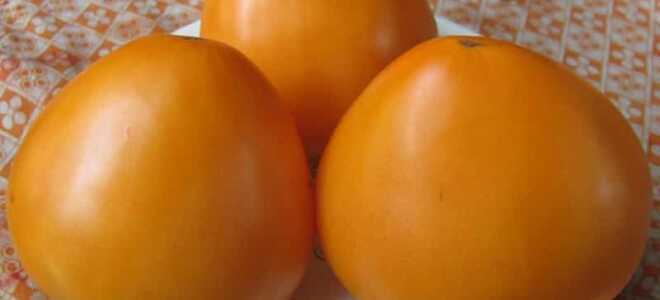 Томат “Золотые купола”: характеристика и описание сорта, отзывы, фото