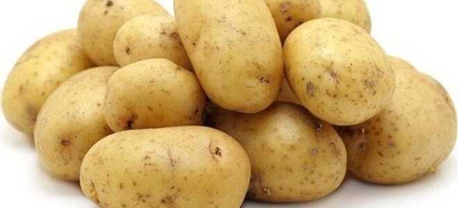 Картофель Гала: описание сорта, фото, отзывы садоводов