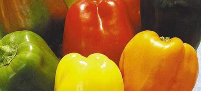 Перец “Звезда востока”: описание сорта, фото, отзывы