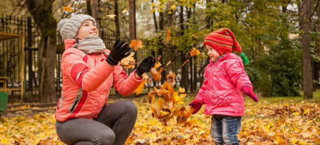 Почему опадают листья с деревьев осенью