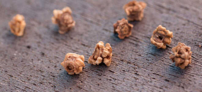 Как замачивать семена свеклы перед посадкой