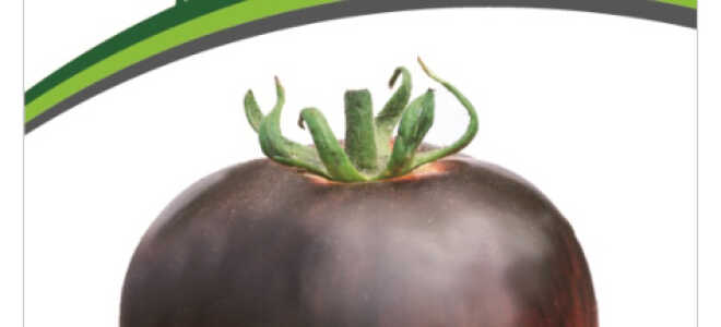 Томат “Черная богиня”: характеристика и описание сорта, фото