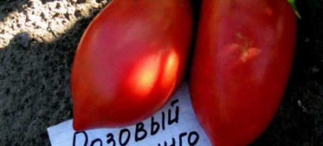 Томат “Розовый фламинго”: характеристика и описание сорта, отзывы, фото