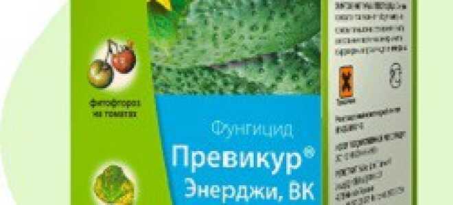 Фунгициды для растений: список препаратов