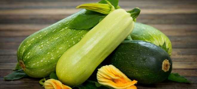 Лучшие сорта кабачков для открытого грунта