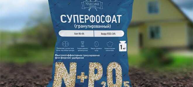 Удобрение “Суперфосфат”: инструкция по применению, состав
