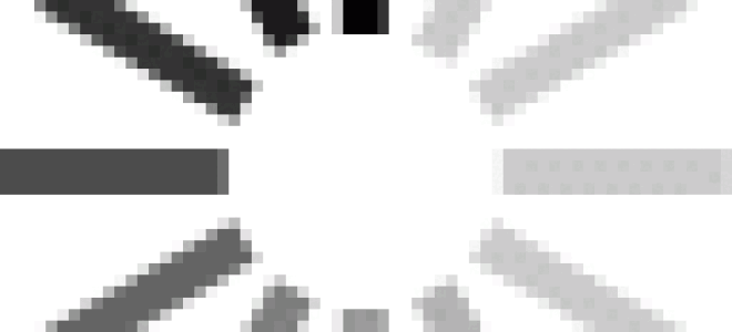 Сливово-вишневый гибрид: описание сорта, фото, отзывы