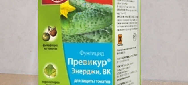 Превикур Энерджи – инструкция, применение против фитофторы, отзывы