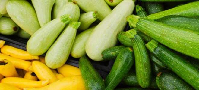 Чем отличается цуккини от кабачка