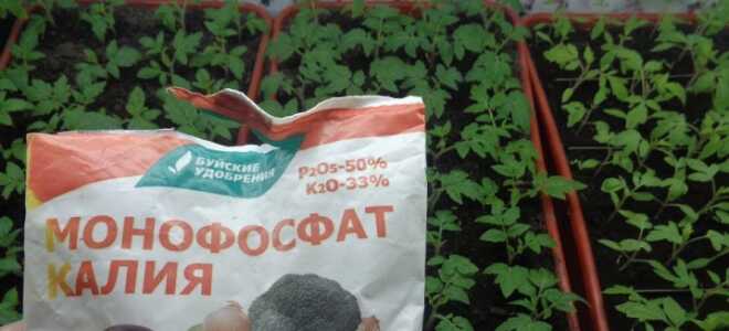 Монофосфат Калия: состав удобрения, инструкция, применение для томатов
