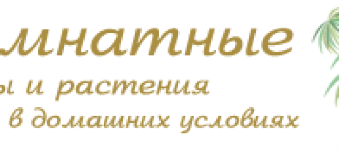 Вертимек: состав, свойства, инструкция по применению